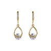 Boucles d'oreilles Tristin Hook - Doré et Cristal - vue V3