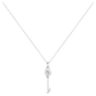 Collier en Acier