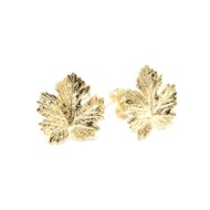 Boucles d'oreilles puces feuilles doré à l'or fin - HÉRA
