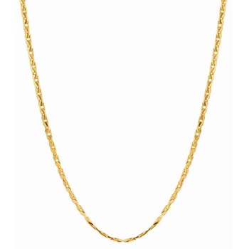 Collier chaîne Cardano plaqué or en acier inoxydable