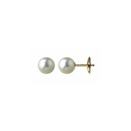 Boucles d'oreilles or jaune perles Akoya
6,5/7 mm