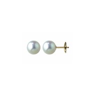 Boucles d'oreilles or 18 carats perles Akoya
8/8,5 mm