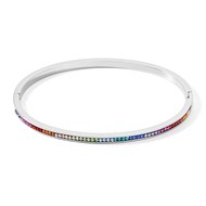 Bracelet jonc Coeur de Lion acier cristaux
multicolores M