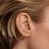 Boucle d'oreille individuelle PdPaola Fuji Oeil-de-t_x000D_
igre - vue V2