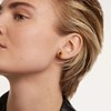 Boucle d'oreille individuelle PdPaola Akiro Oeil de_x000D_
tigre - vue V2