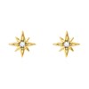 Boucles d'oreilles puces Agatha Ourse dorées - vue V1
