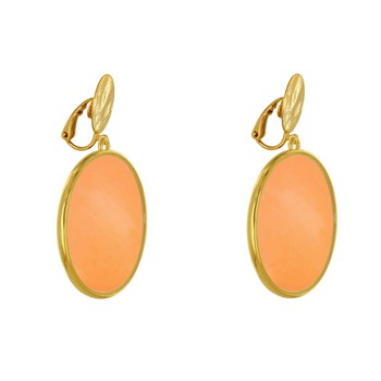 Oorbellen Clip Metaal Goudkleurige Cirkel Doorschijnend