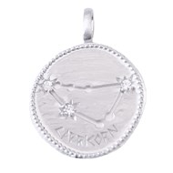 Pendentif médaille constellation du capricorne zodiaque en argent + chaine