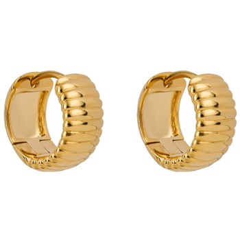 Boucle d'oreille plaqué or en argent 925