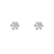 Boucles d'oreilles Starcy
