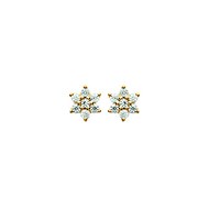 Boucles d'oreilles Brillaxis étoiles
plaqué or  oxydes de zirconium