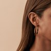 Boucles d'oreilles créoles Agatha résine écaille
Popcolor - vue V2