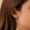 Boucles d'oreilles Agatha argent oxydes Rondou - vue V2