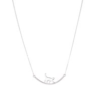 Collier Chat perché