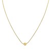 Collier Asio acier doré or - vue V1