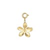 Charm Floria acier doré or - vue V1