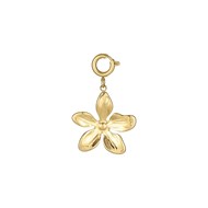 Charm Floria acier doré or