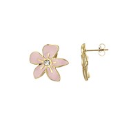 Boucles Doriane acier doré or
