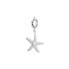 Charm Etoile de mer acier - vue V1