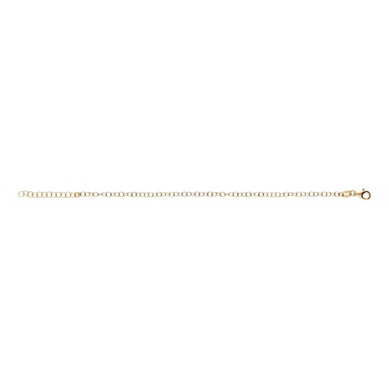 Bracelet femme charm's Plaqué or - Maille ronde - Les Charm'antes - vue 2