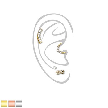 Sparkling composition of ear piercings
