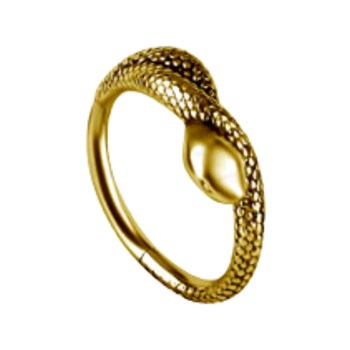 Piercing conch snake PVD 24K gold 10mm