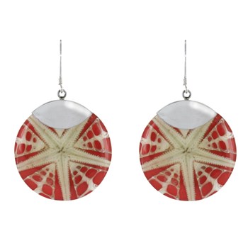 925 zilveren schijf oorbellen zeester