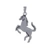 Pendentif Argent 925 Cheval - vue V1