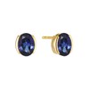 Boucles d'oreille puce Sif Jakobs ELLISSE CAREZZA
argent plaqué or jaune 18k oxyde bleu - vue V1