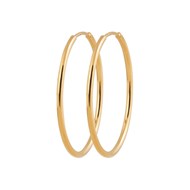 Créoles Brillaxis plaqué or fil rond 1.5 mm
30 mm