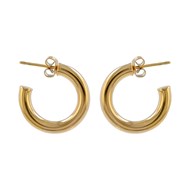 Boucles d'oreilles acier jaune