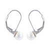 Boucles d'oreilles argent rhodié dormeuses avec perle blanche d'imitation 6MM 0.50grs - vue V1