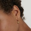 PDPAOLA Boucles d'Oreilles - L'Absolu Gold - en argent plaqué or - AR01-364-U - vue V2