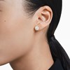 Clous d'oreilles Swarovski Una dorées - vue V2