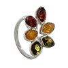 Bague Argent Feuillage d'Ambre 3 Couleurs - vue V1