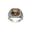 Bague Argent Homme Trône Du Roi Pierre oeil De Tigre - vue V1