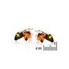 Boucle d'oreille ambre, Argent - vue V2