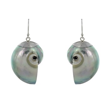 925 Sterling zilveren Nautilus schelp oorbellen