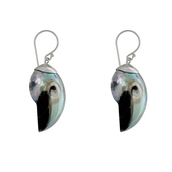 925 Sterling zilveren Nautilus schelp oorbellen