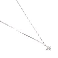 Collier Agatha Ourse étoile argent
