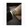 Discovery Wolver Bridge Mechanical - Montre homme - Mouvement automatique squelette 2 aiguilles - Doré - vue V3