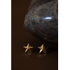 mini boucles d'oreilles puces étoiles doré à l'or fin - RAOUL - vue V3